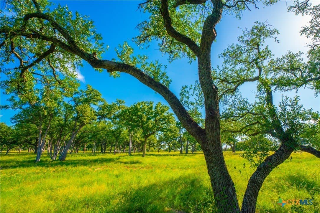 24 acres in Blanco County - photo 10