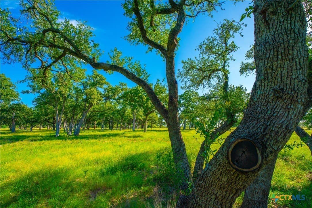 24 acres in Blanco County - photo 9