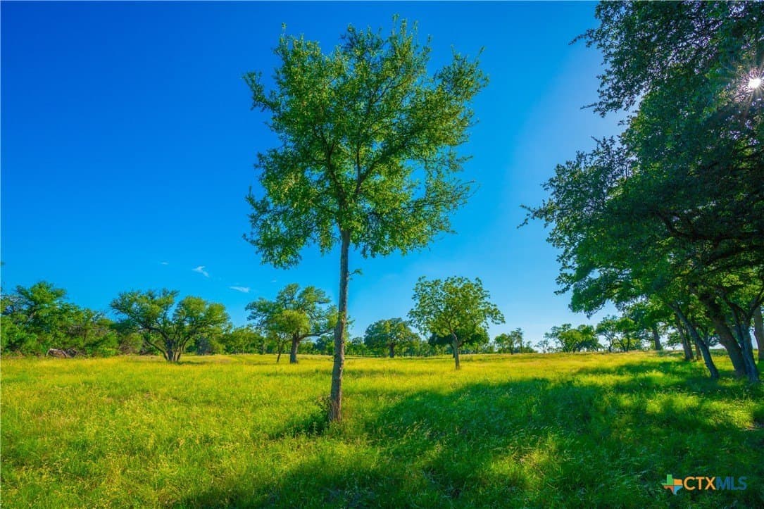 24 acres in Blanco County - photo 18