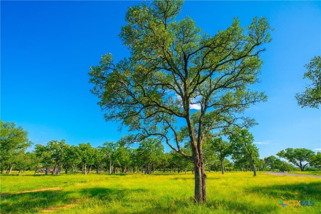 24 acres in Blanco County - photo 6