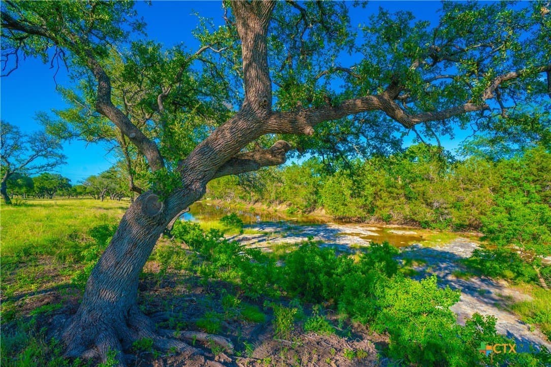 24 acres in Blanco County - photo 19