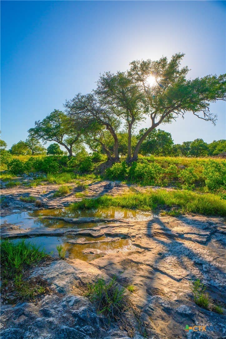24 acres in Blanco County - photo 26