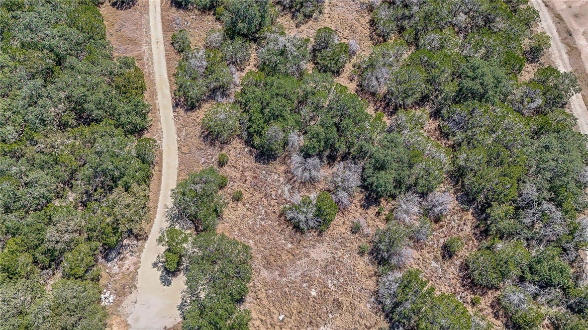 0.23 acres in Comal County gallery image 4