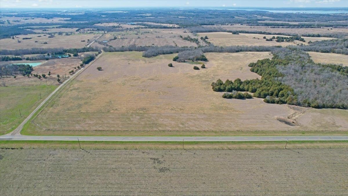 40.5 acres in Fannin County gallery image 4