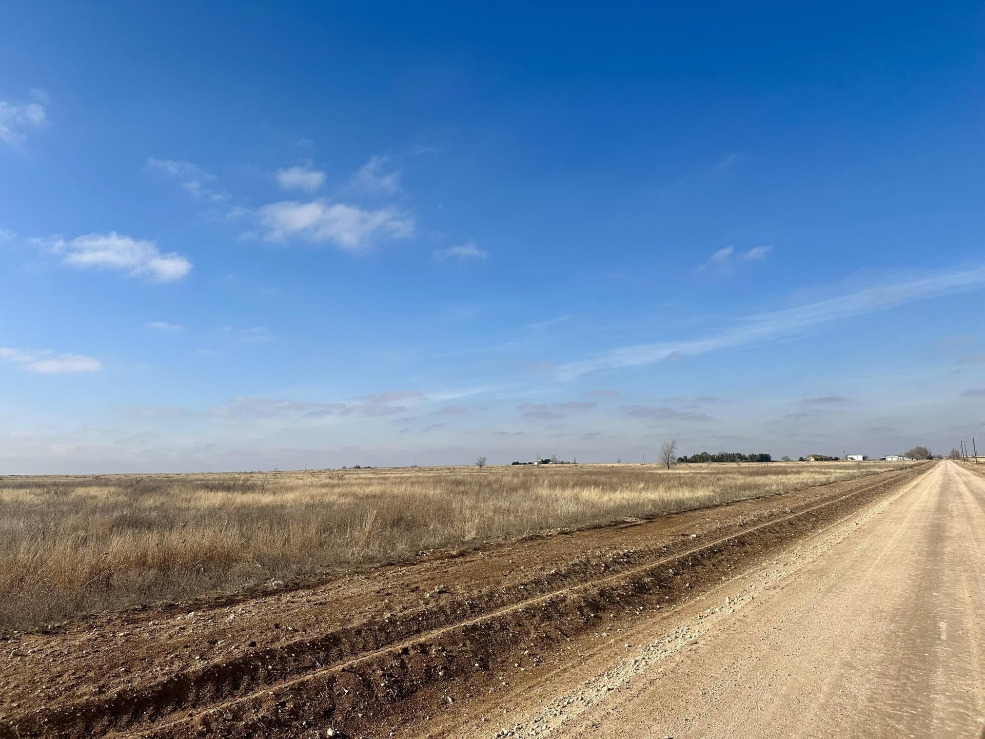 159.8 acres in Hockley County gallery image 3
