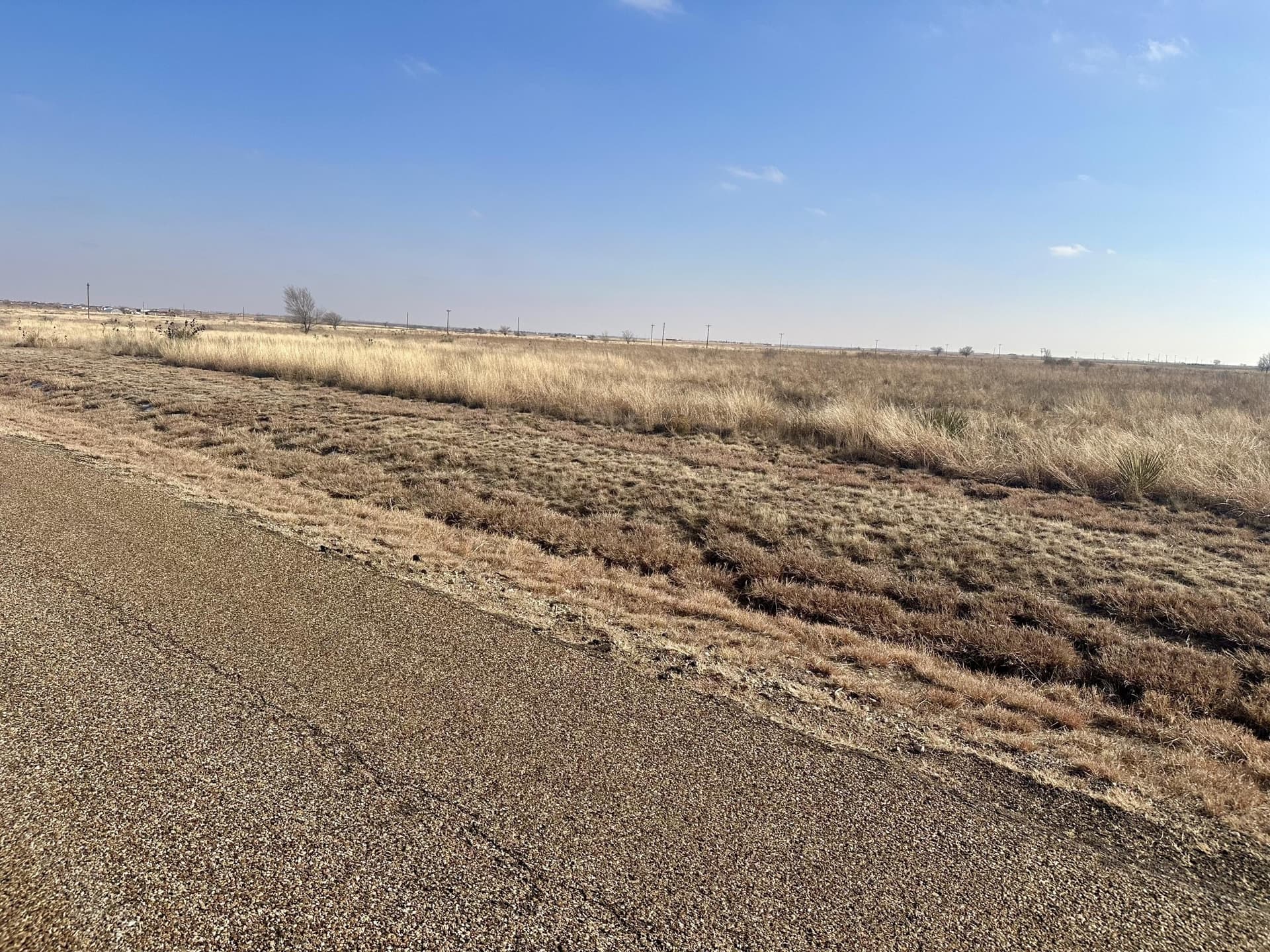 159.8 acres in Hockley County featured view