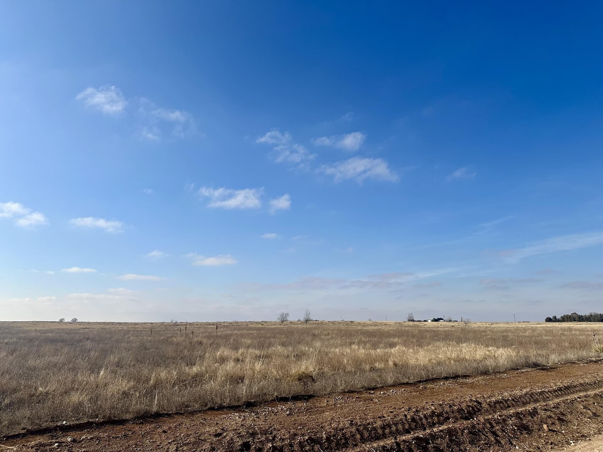 159.8 acres in Hockley County gallery image 2