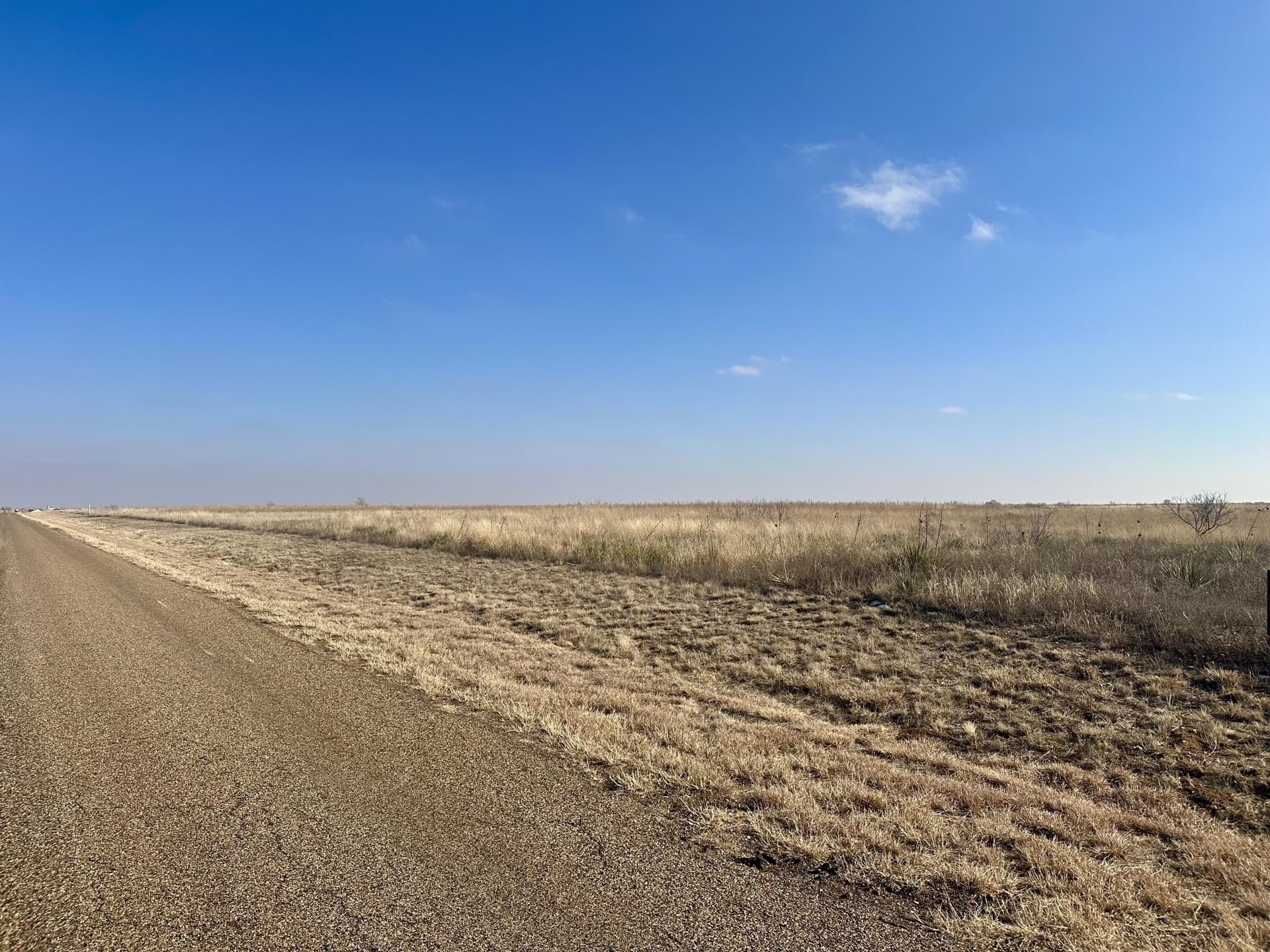159.8 acres in Hockley County gallery image 4