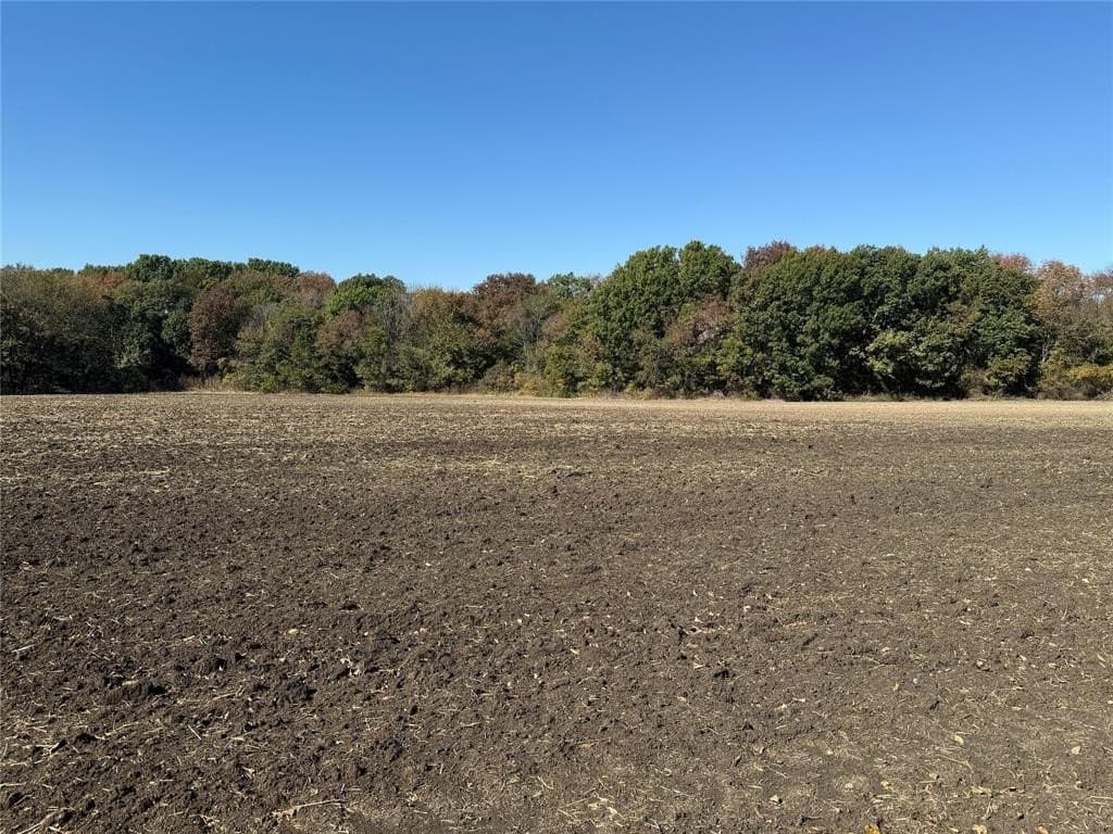 23.06 acres in Grayson County gallery image 3