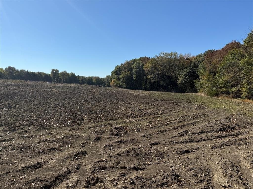 23.06 acres in Grayson County featured view