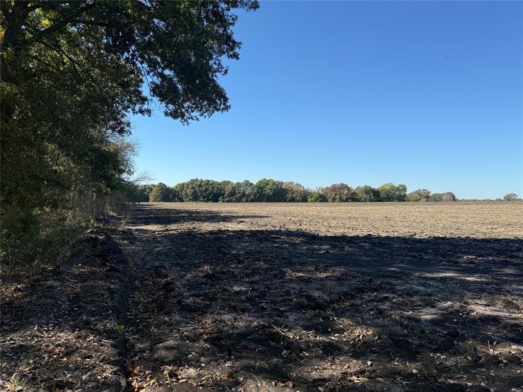 23.06 acres in Grayson County gallery image 4