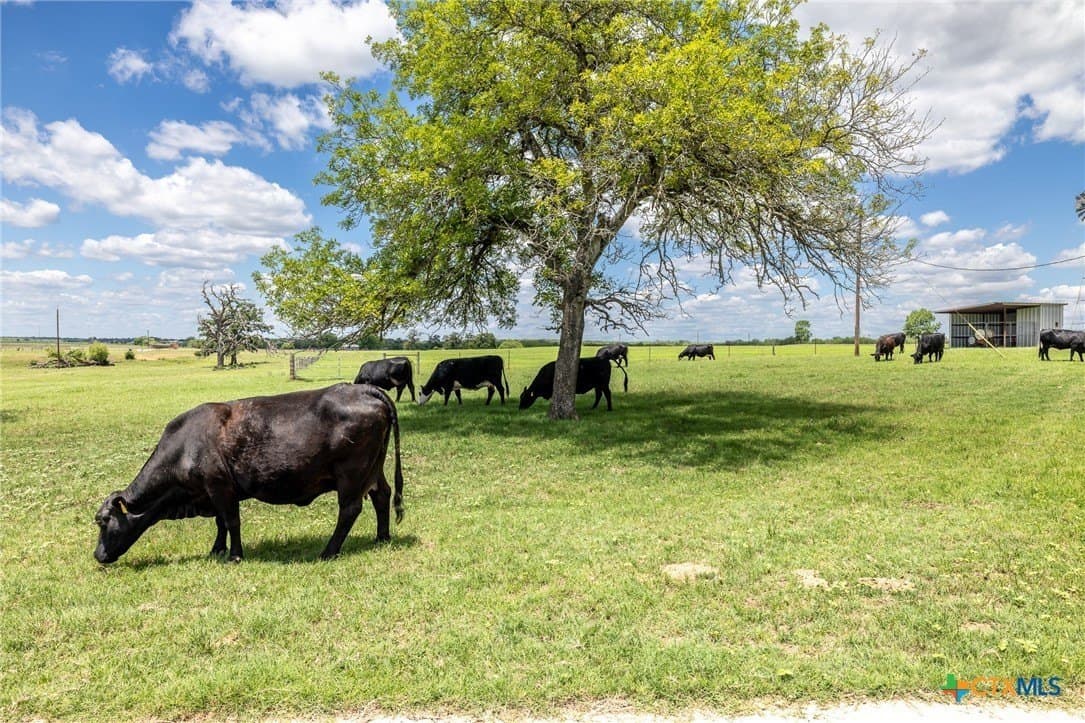30.03 acres in Gonzales County - photo 41