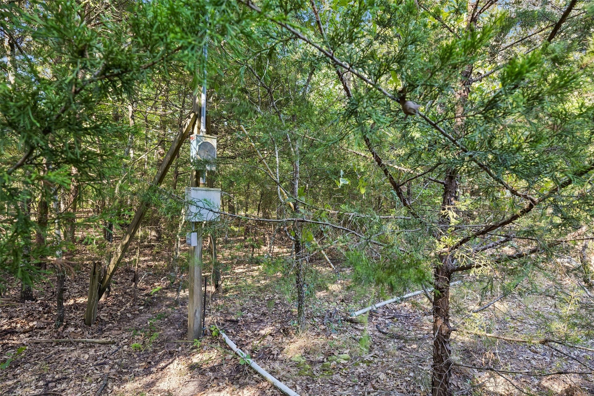 5 acres in Hunt County gallery image 2