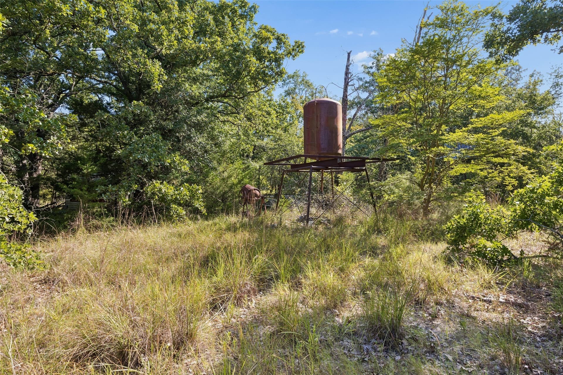 5 acres in Hunt County gallery image 4