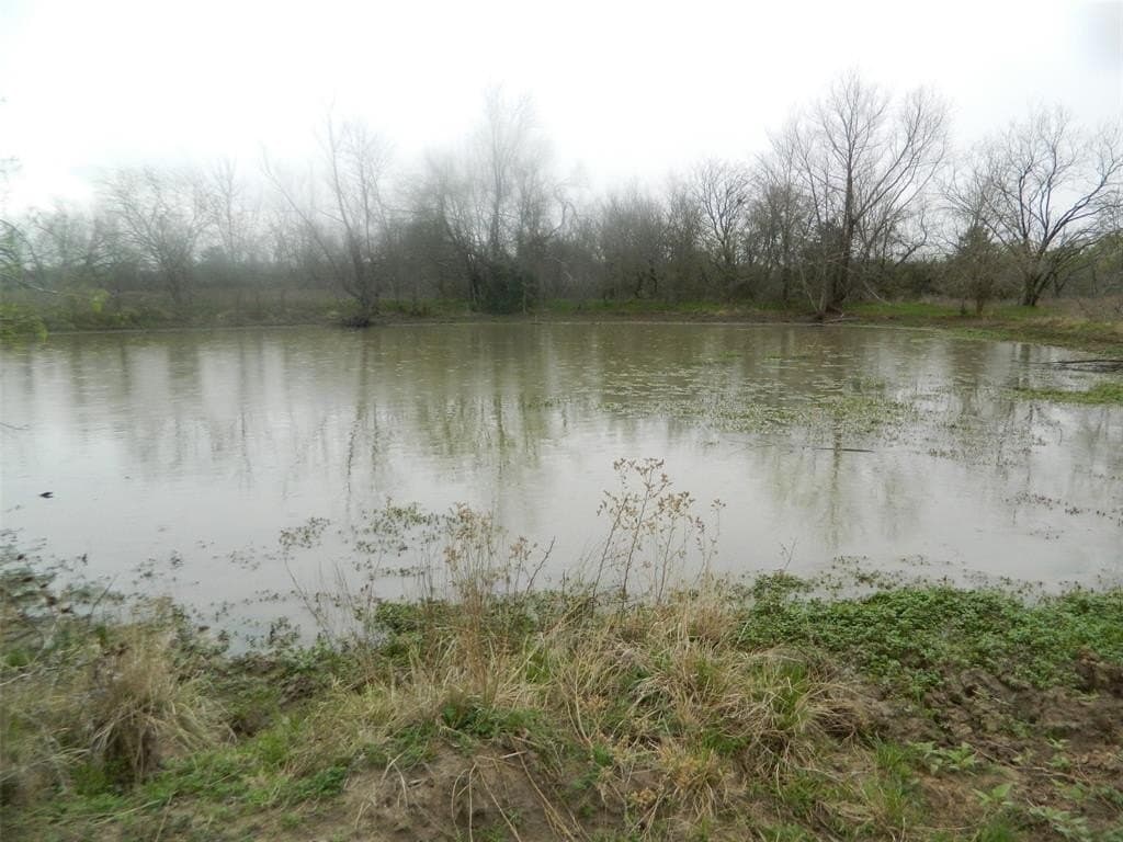 80.72 acres in Freestone County gallery image 2