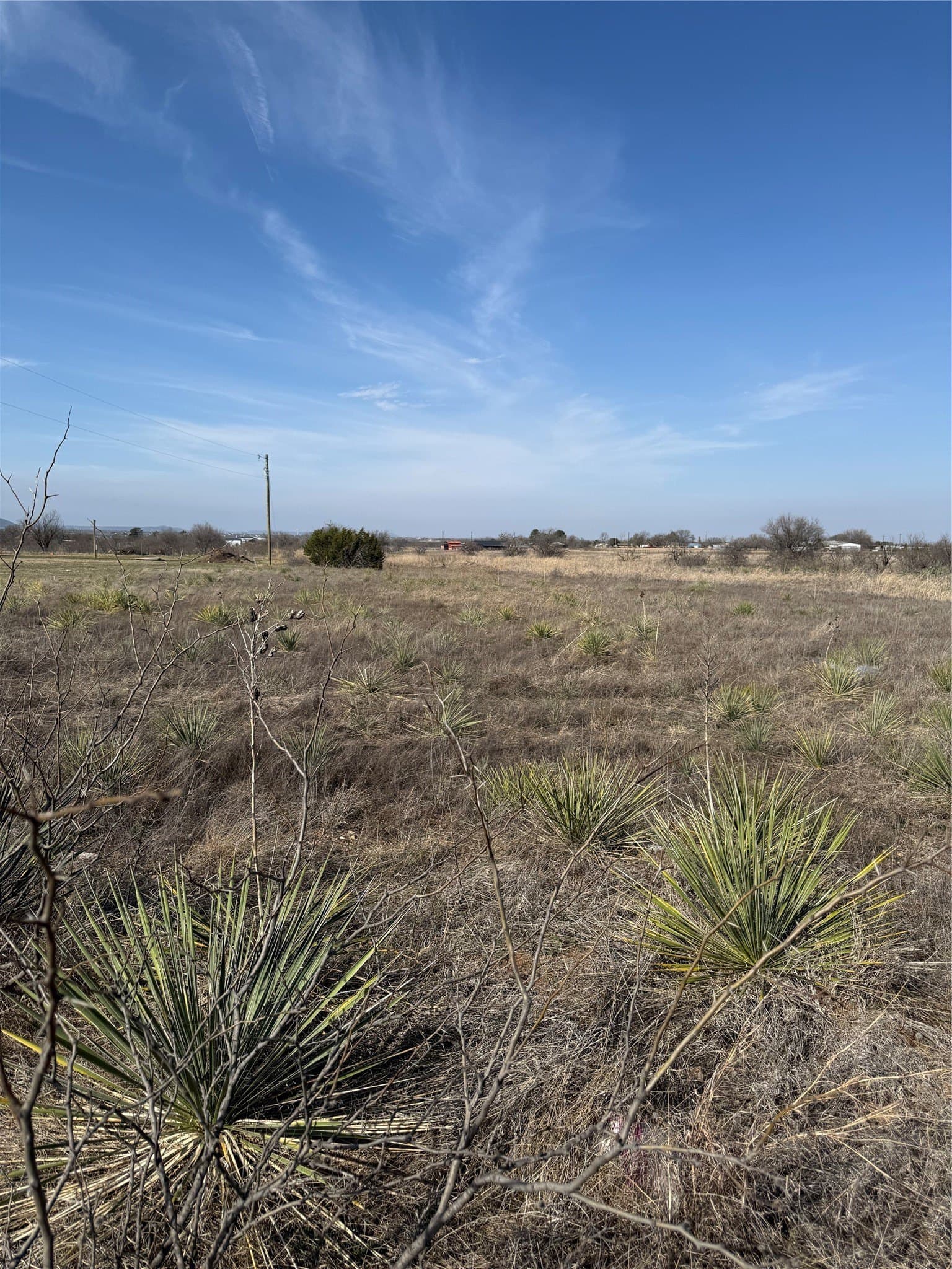 2 acres in Taylor County gallery image 2