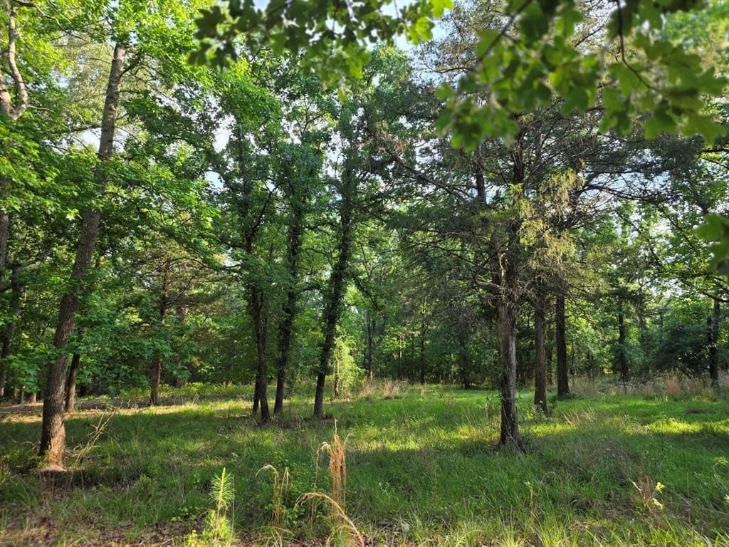 2.09 acres in Henderson County gallery image 2