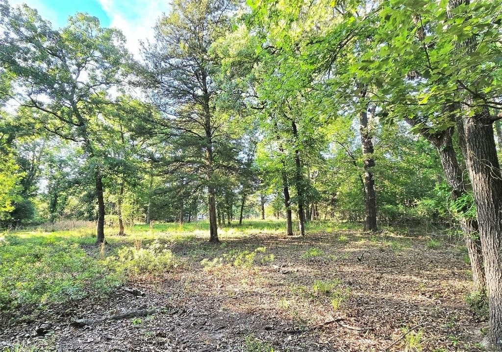 2.09 acres in Henderson County featured view