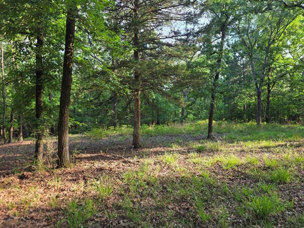 2.09 acres in Henderson County gallery image 3