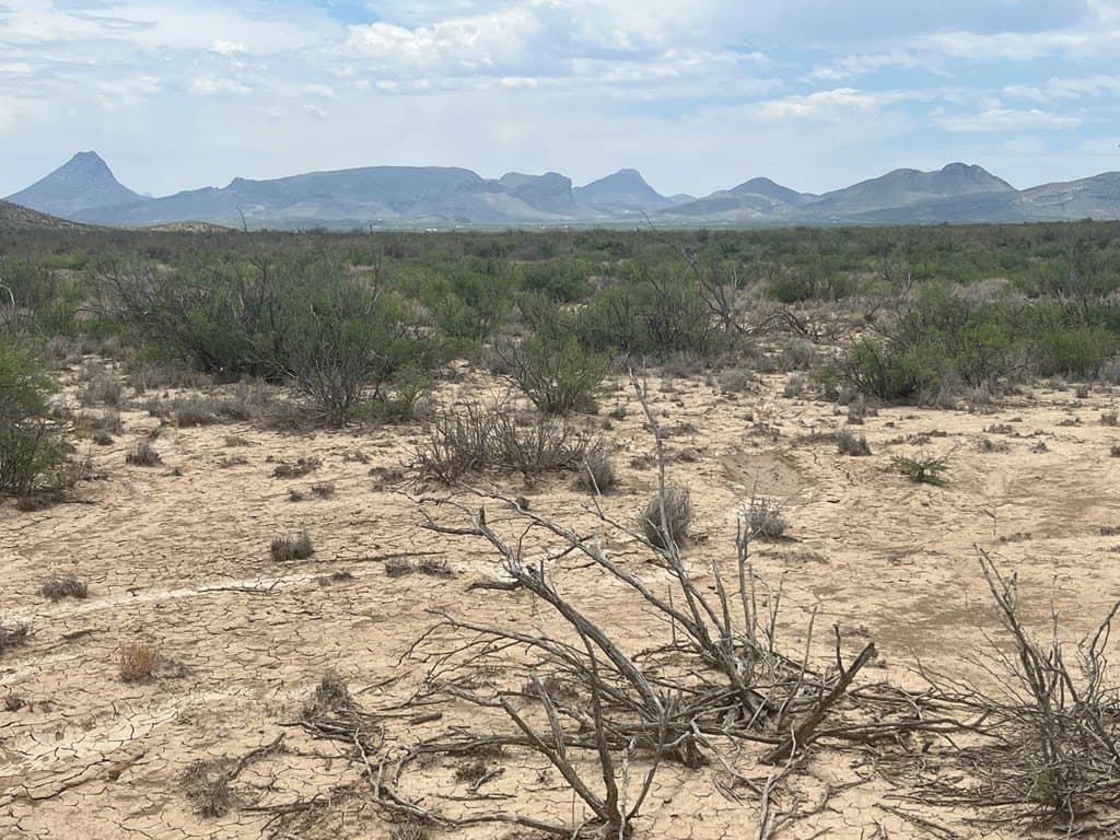 5 acres in Brewster County gallery image 3