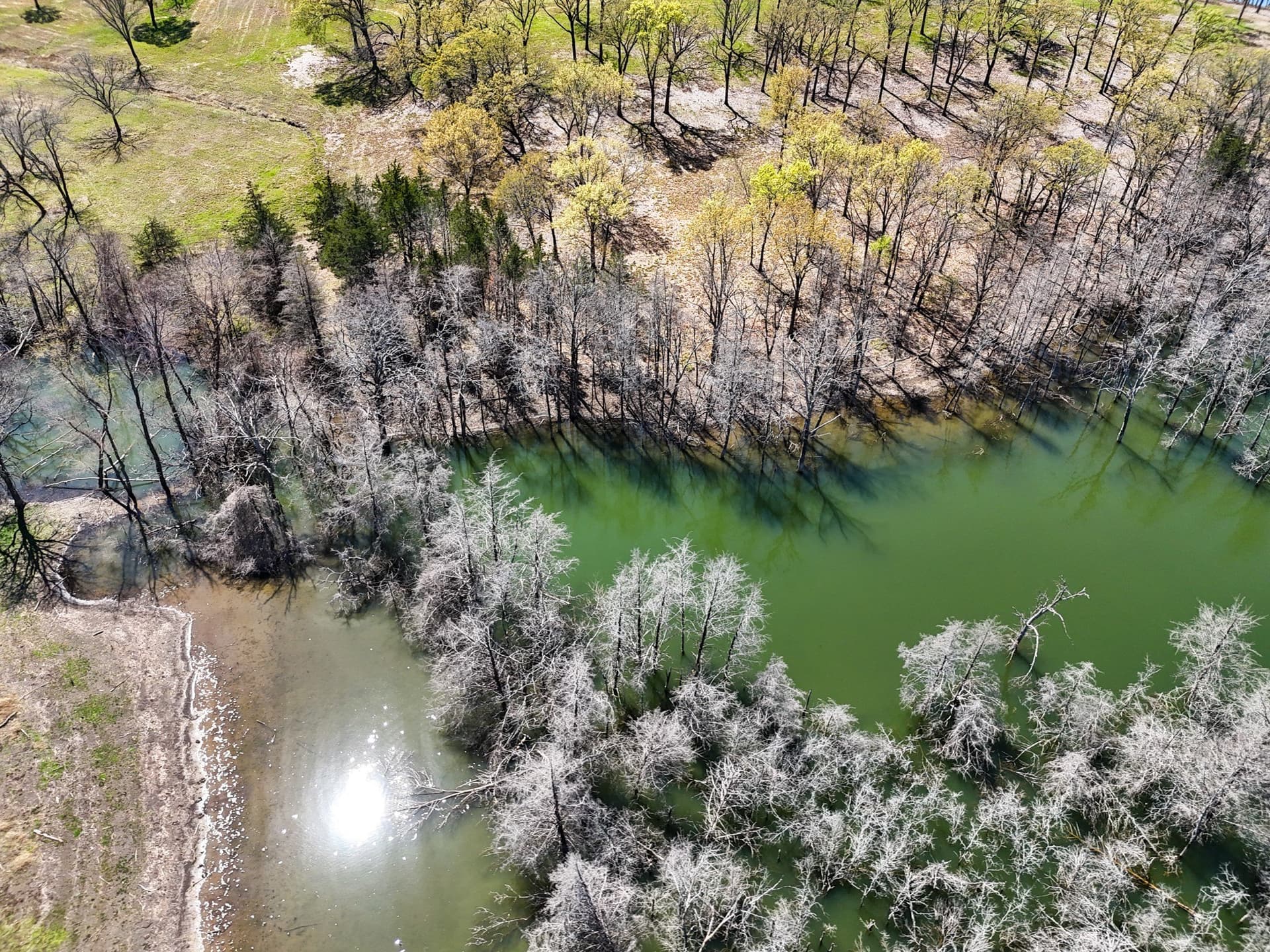 1.19 acres in Fannin County - photo 18