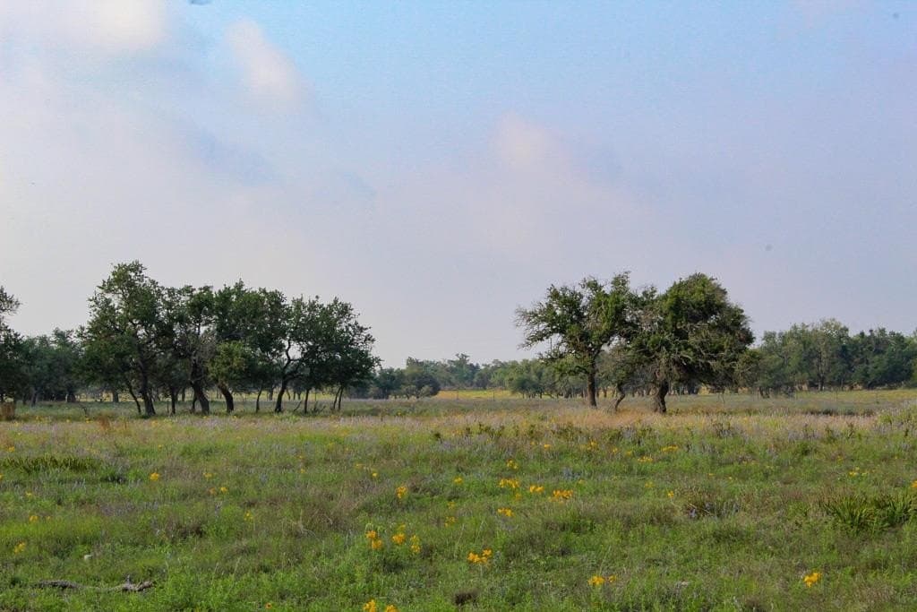 5.35 acres in Kerr County