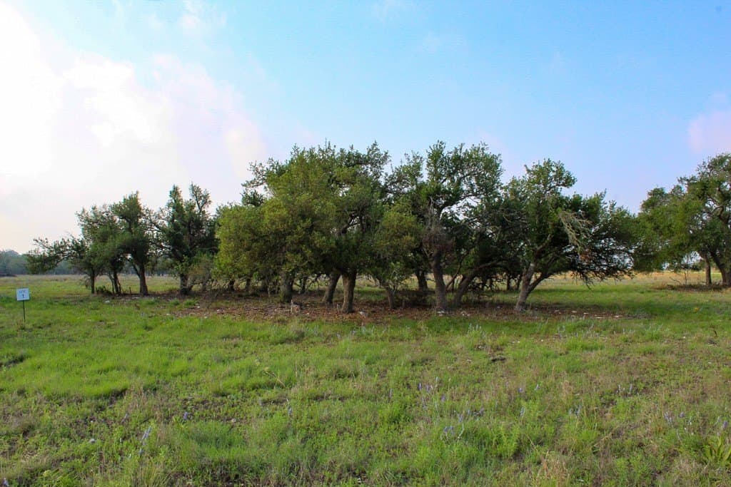 5.35 acres in Kerr County gallery image 3