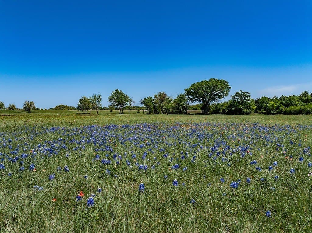 8.05 acres in Fayette County - photo 8