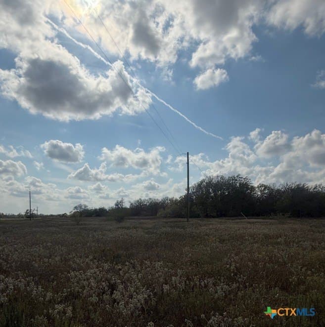 108.19 acres in DeWitt County featured view