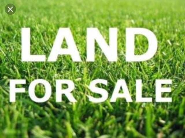15.78 acres in Midland County gallery image 2