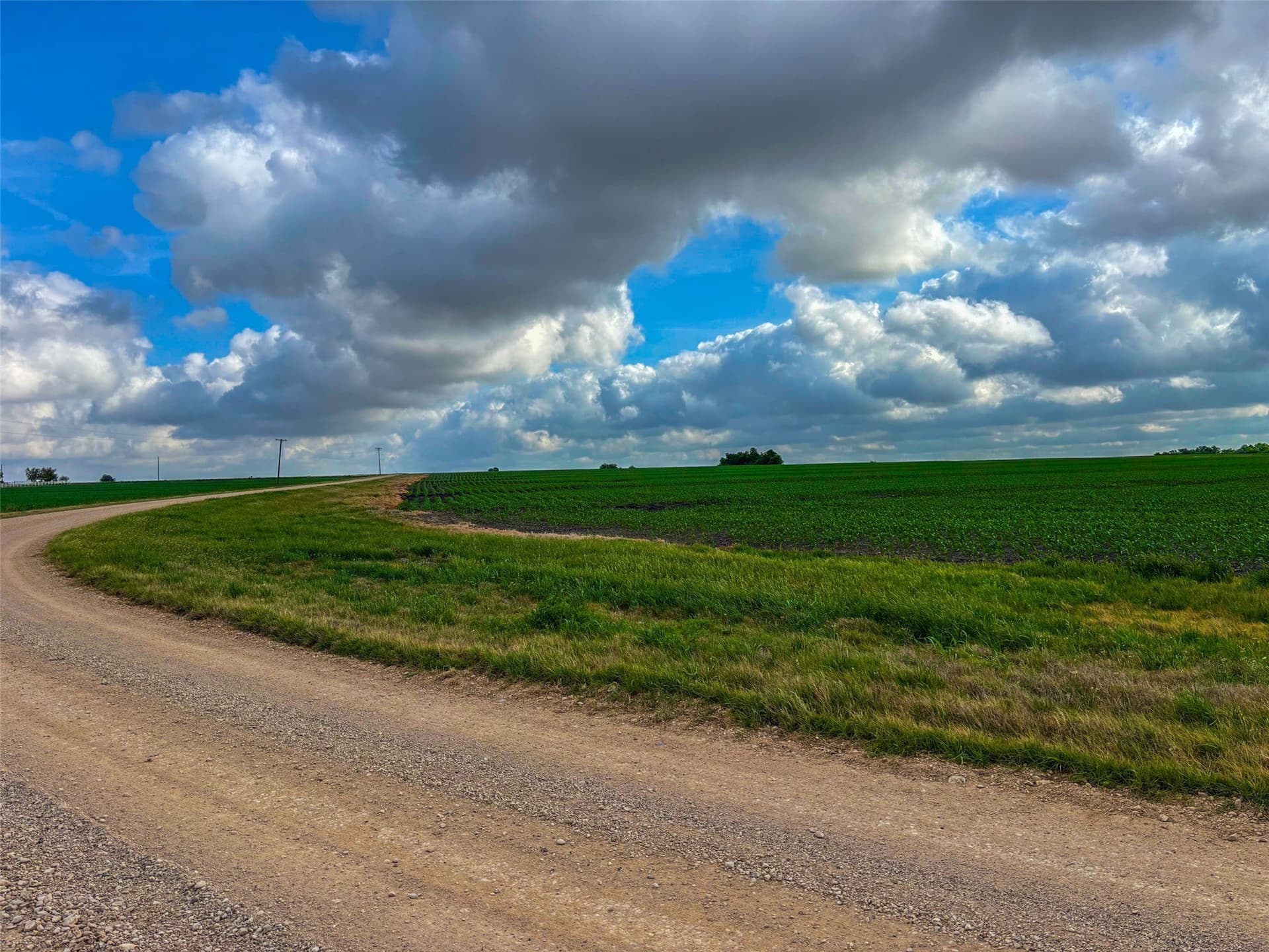 64.52 acres in Bell County - photo 27