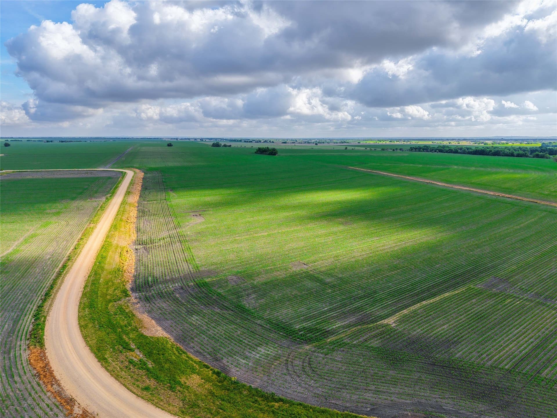 64.52 acres in Bell County - photo 19