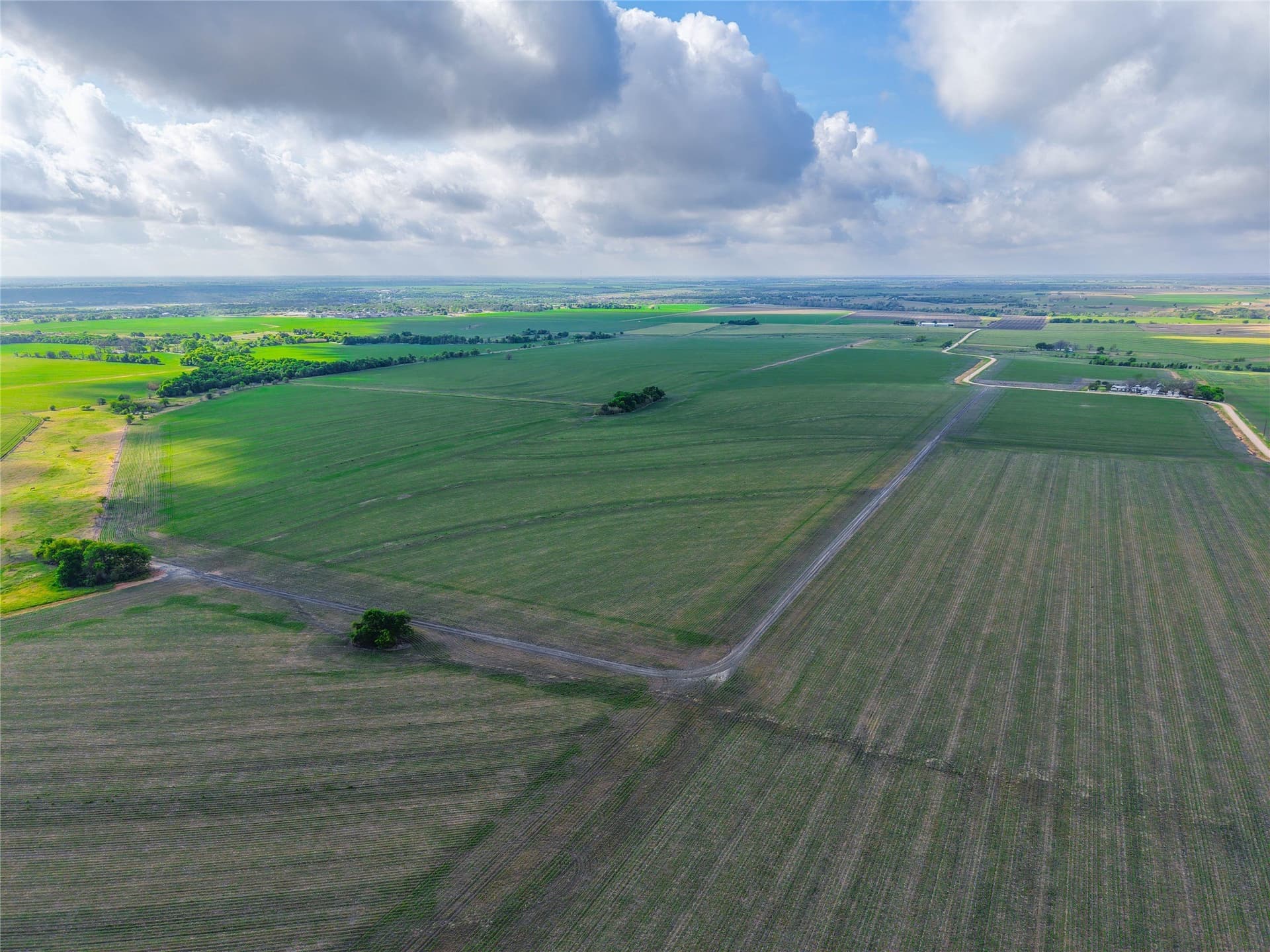 64.52 acres in Bell County - photo 12