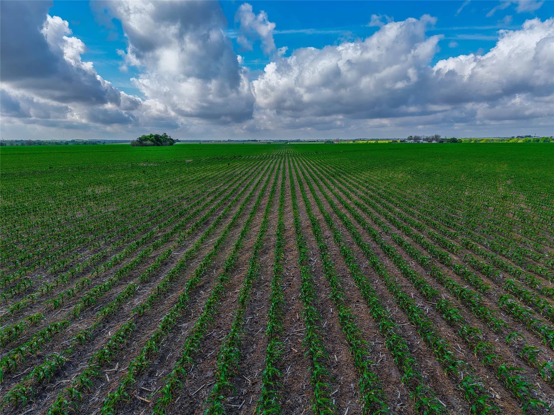 64.52 acres in Bell County - photo 16