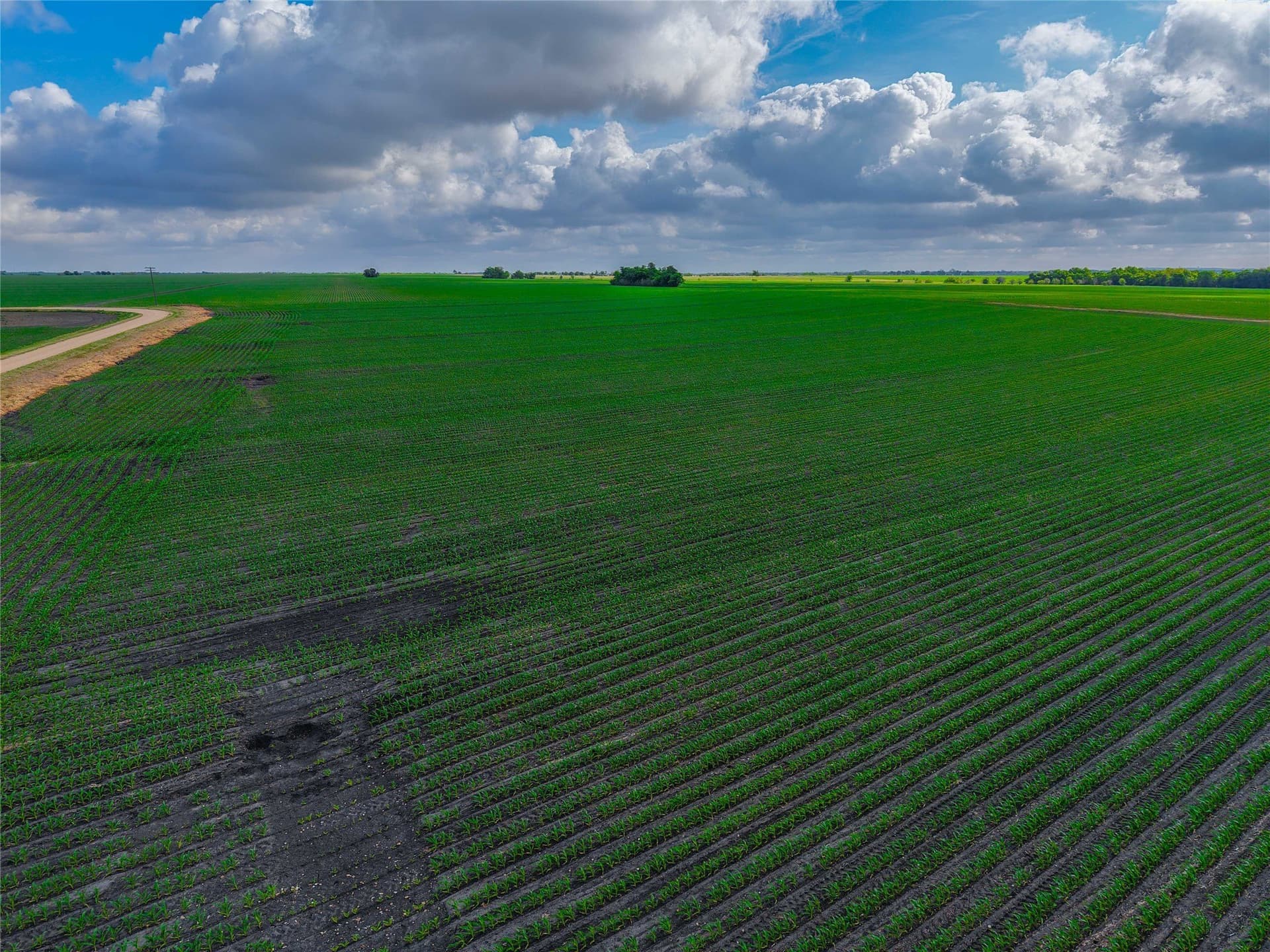 64.52 acres in Bell County - photo 15