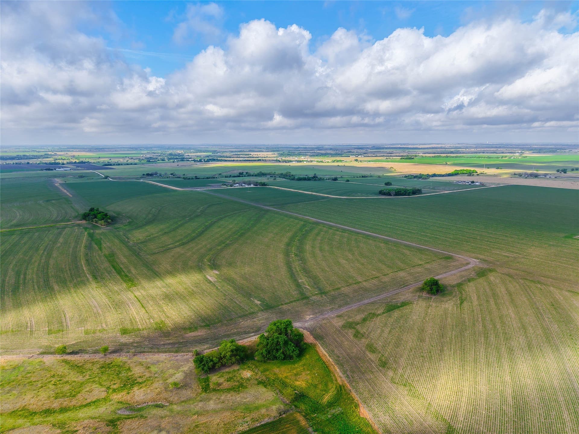 64.52 acres in Bell County - photo 10