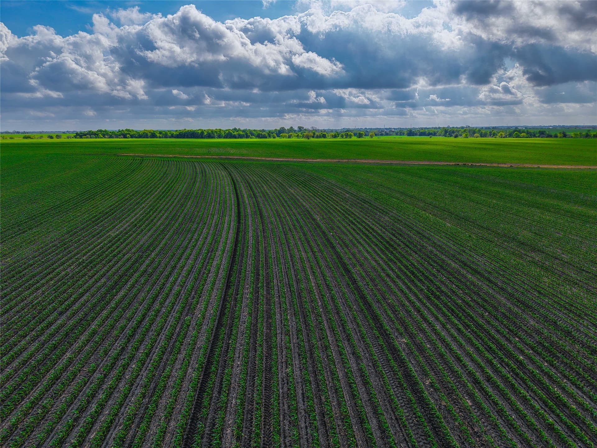 64.52 acres in Bell County - photo 14