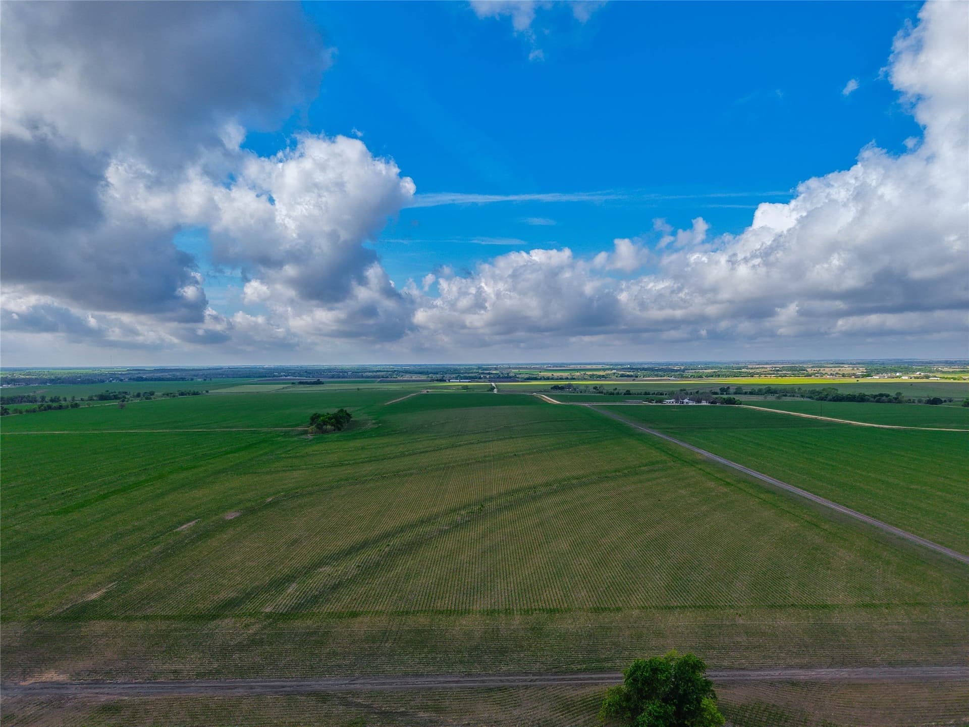 64.52 acres in Bell County - photo 17