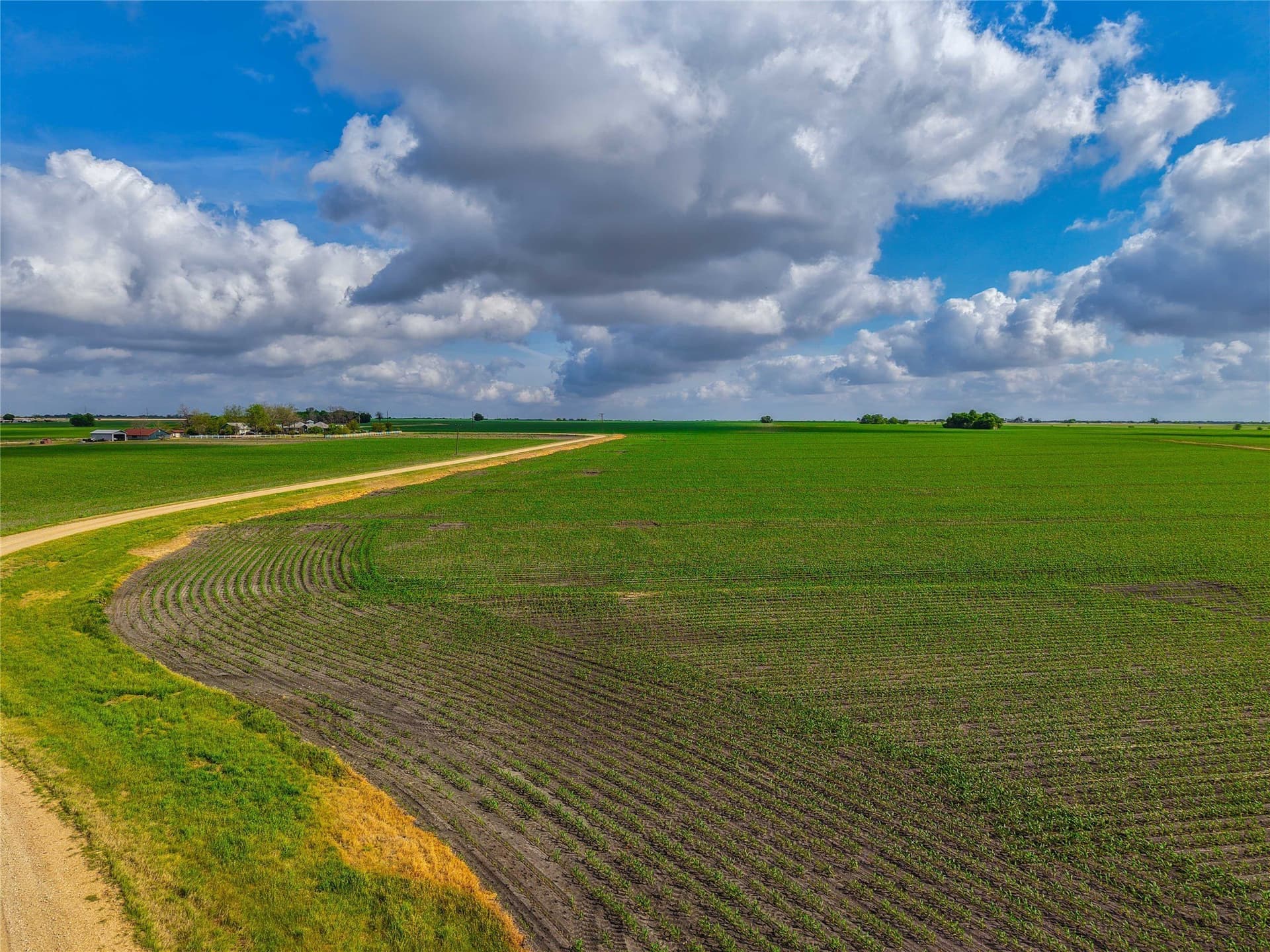 64.52 acres in Bell County - photo 23