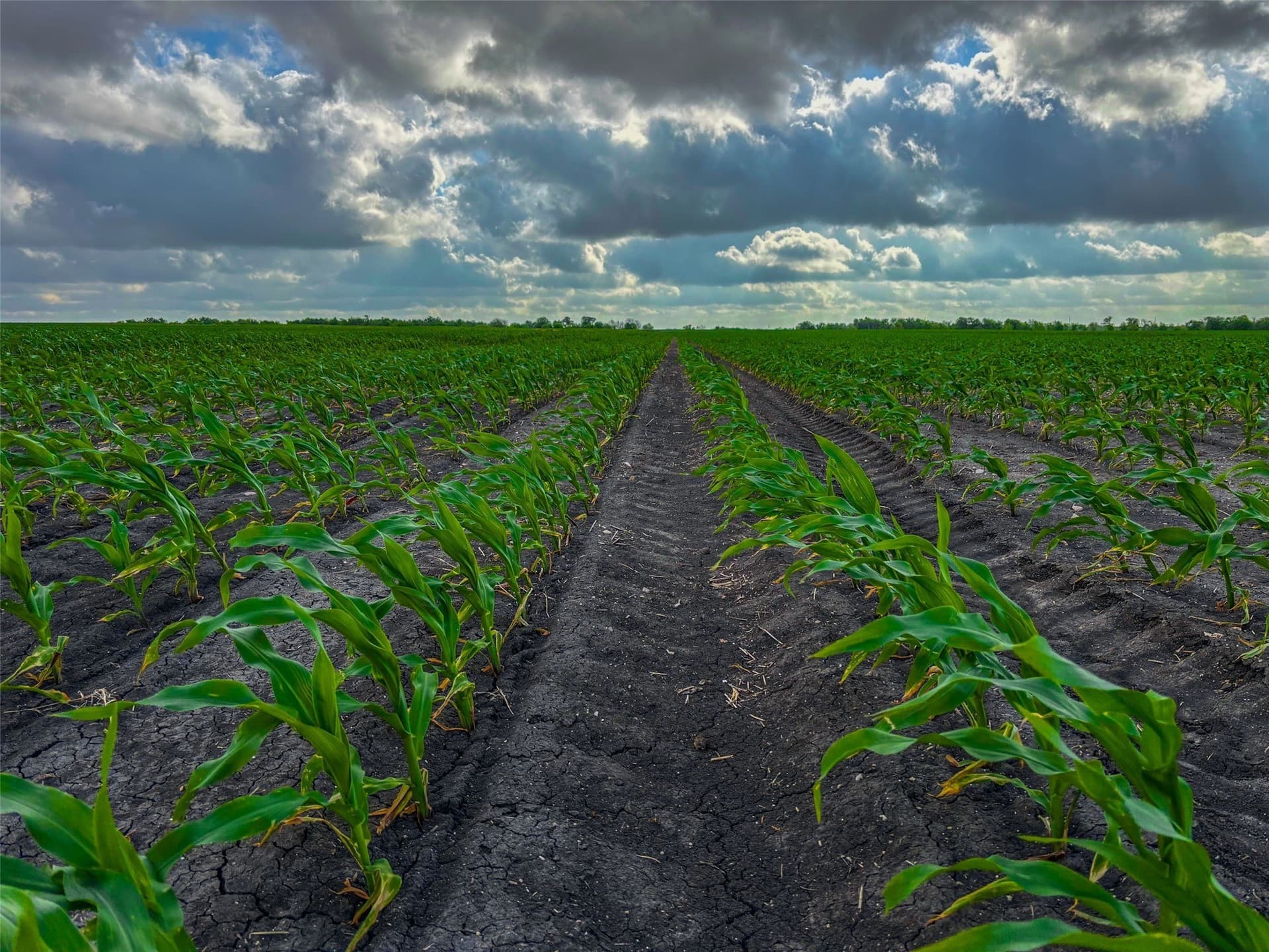 64.52 acres in Bell County - photo 13