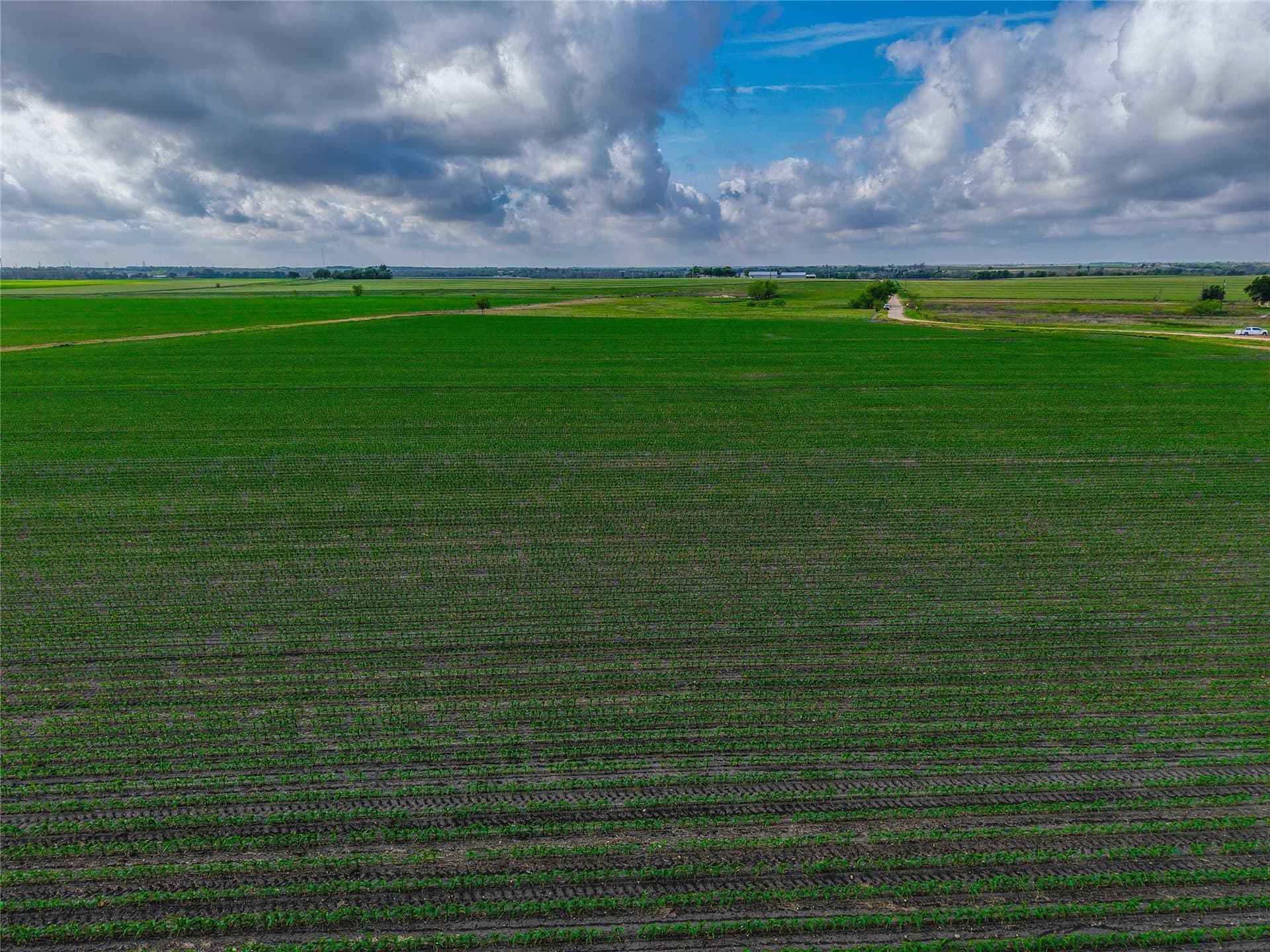 64.52 acres in Bell County - photo 4
