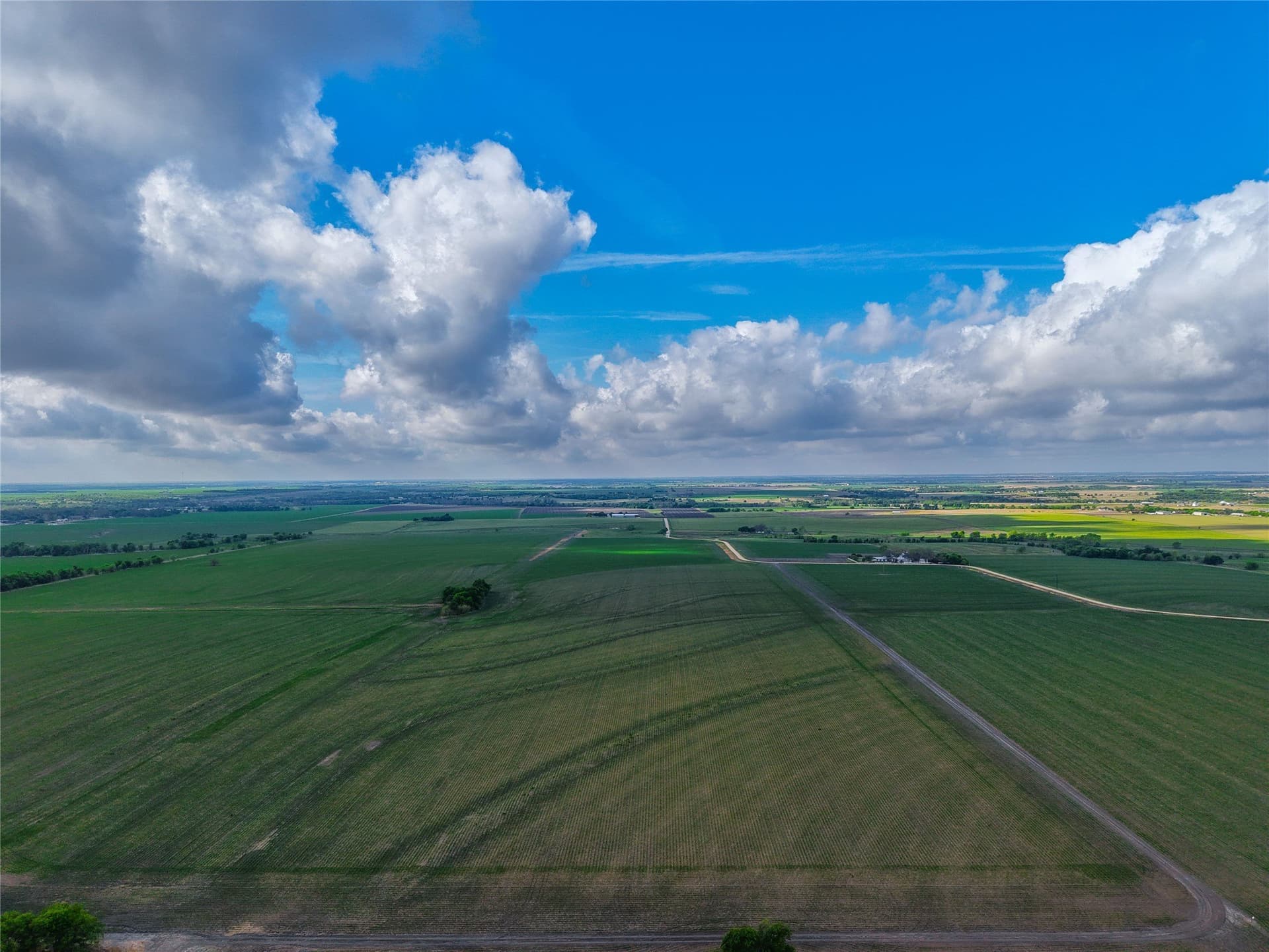 64.52 acres in Bell County - photo 18