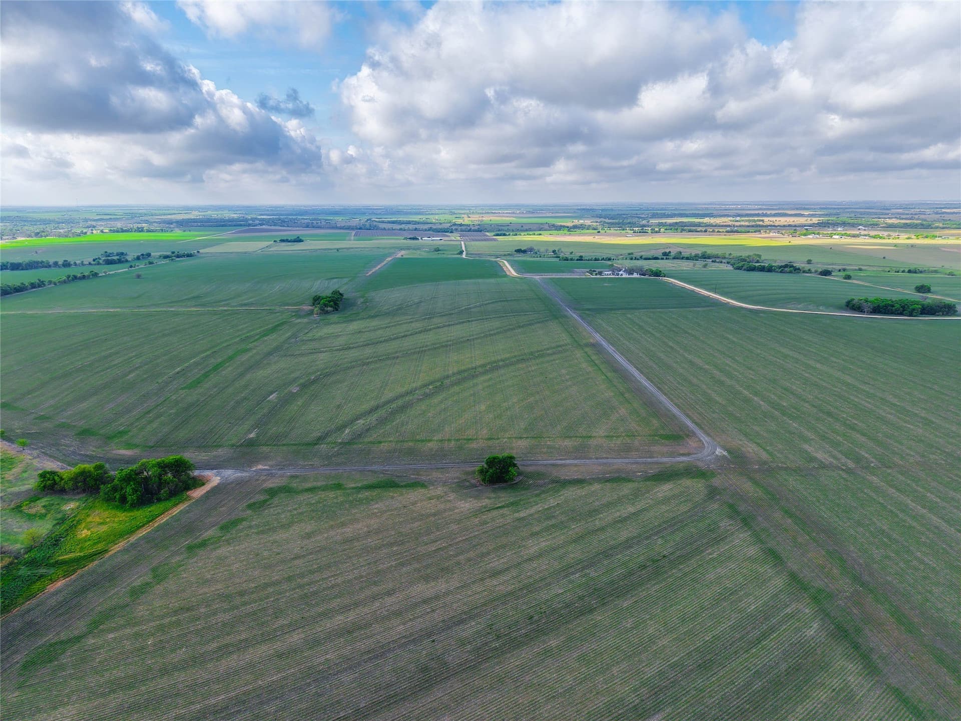 64.52 acres in Bell County - photo 11