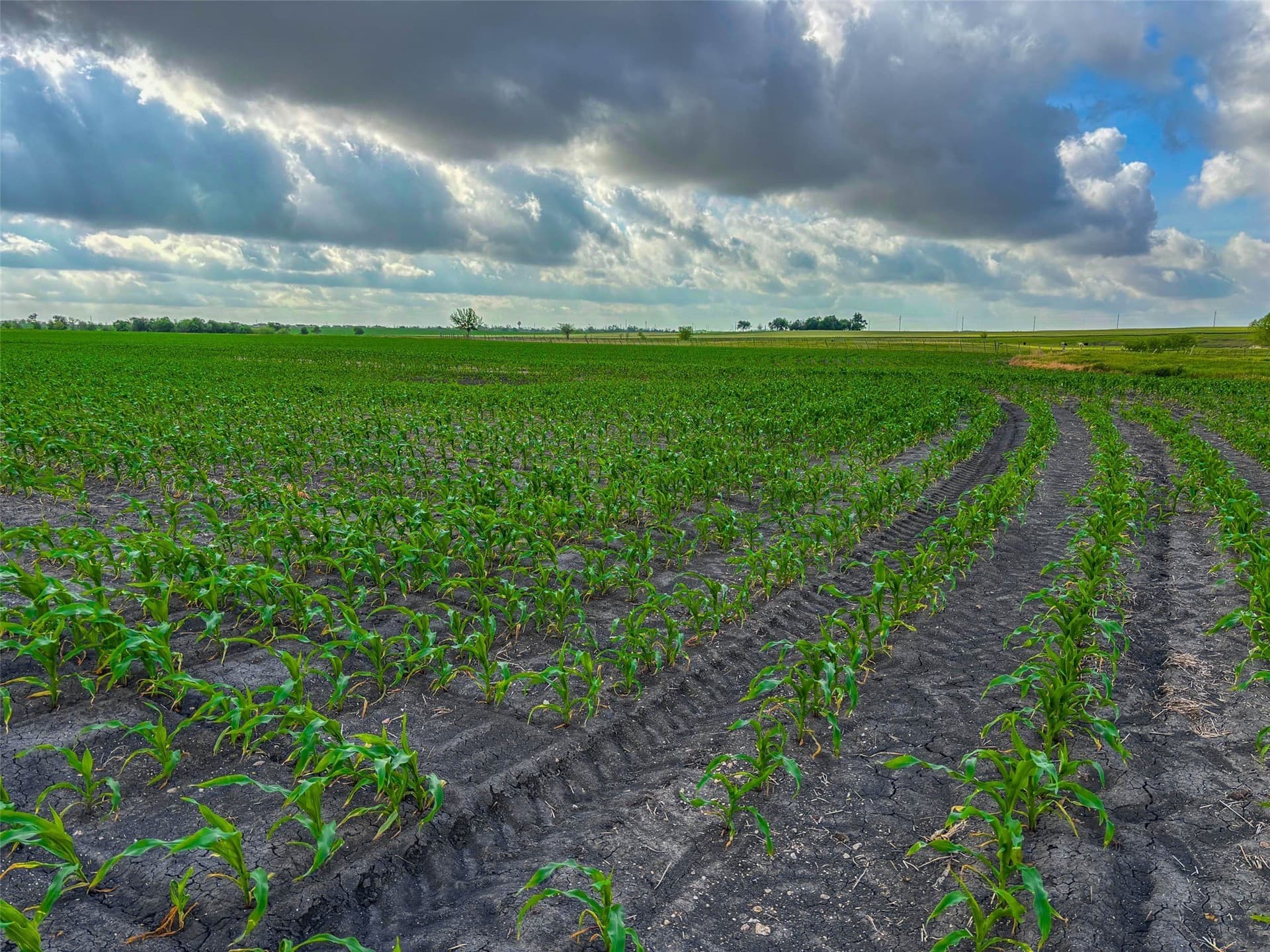 64.52 acres in Bell County - photo 28