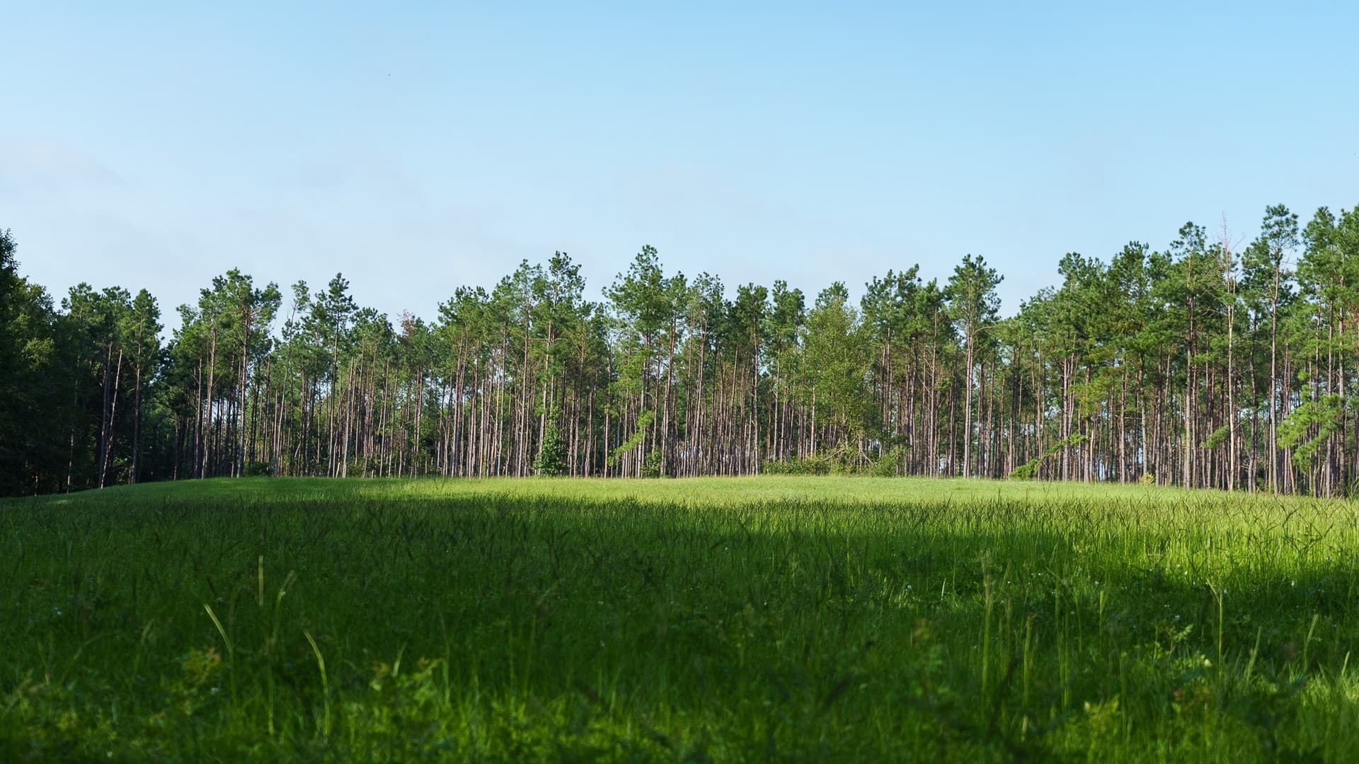 327.55 acres in Rusk County - photo 23