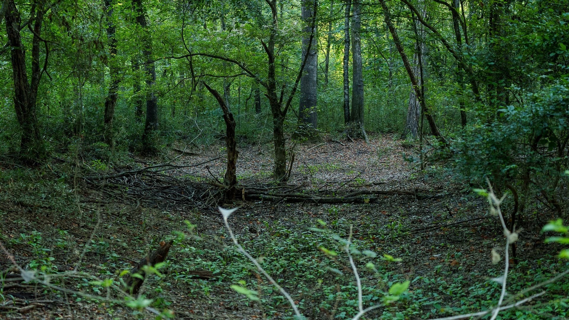 327.55 acres in Rusk County - photo 18