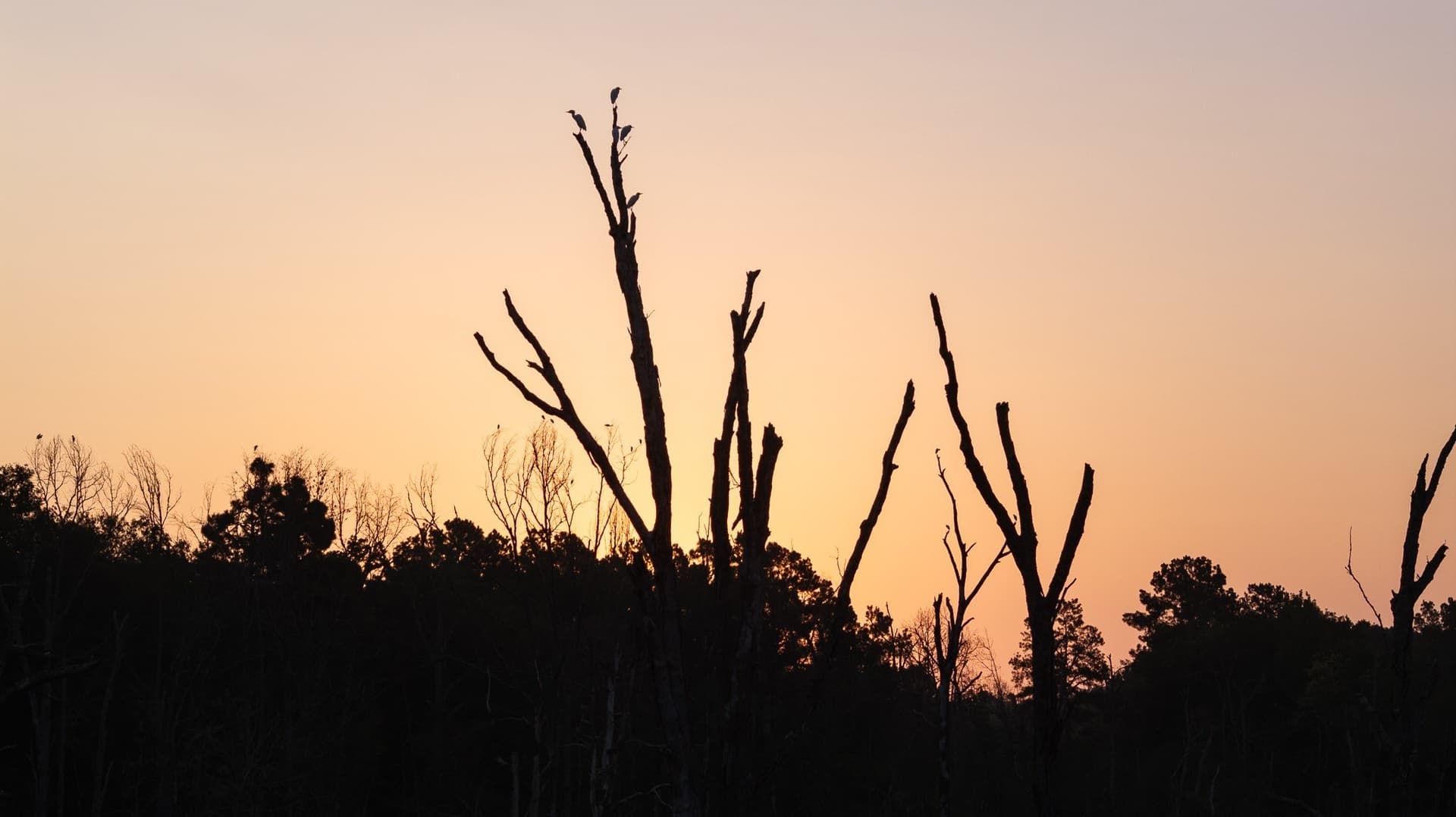 327.55 acres in Rusk County - photo 28