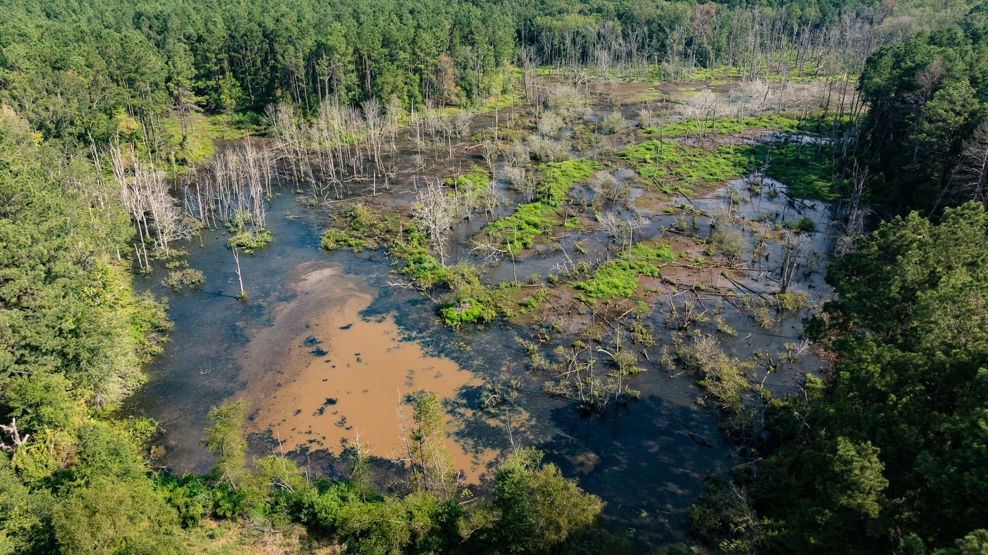 327.55 acres in Rusk County - photo 9