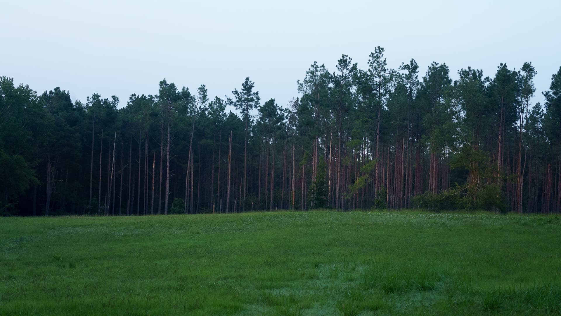 327.55 acres in Rusk County - photo 11