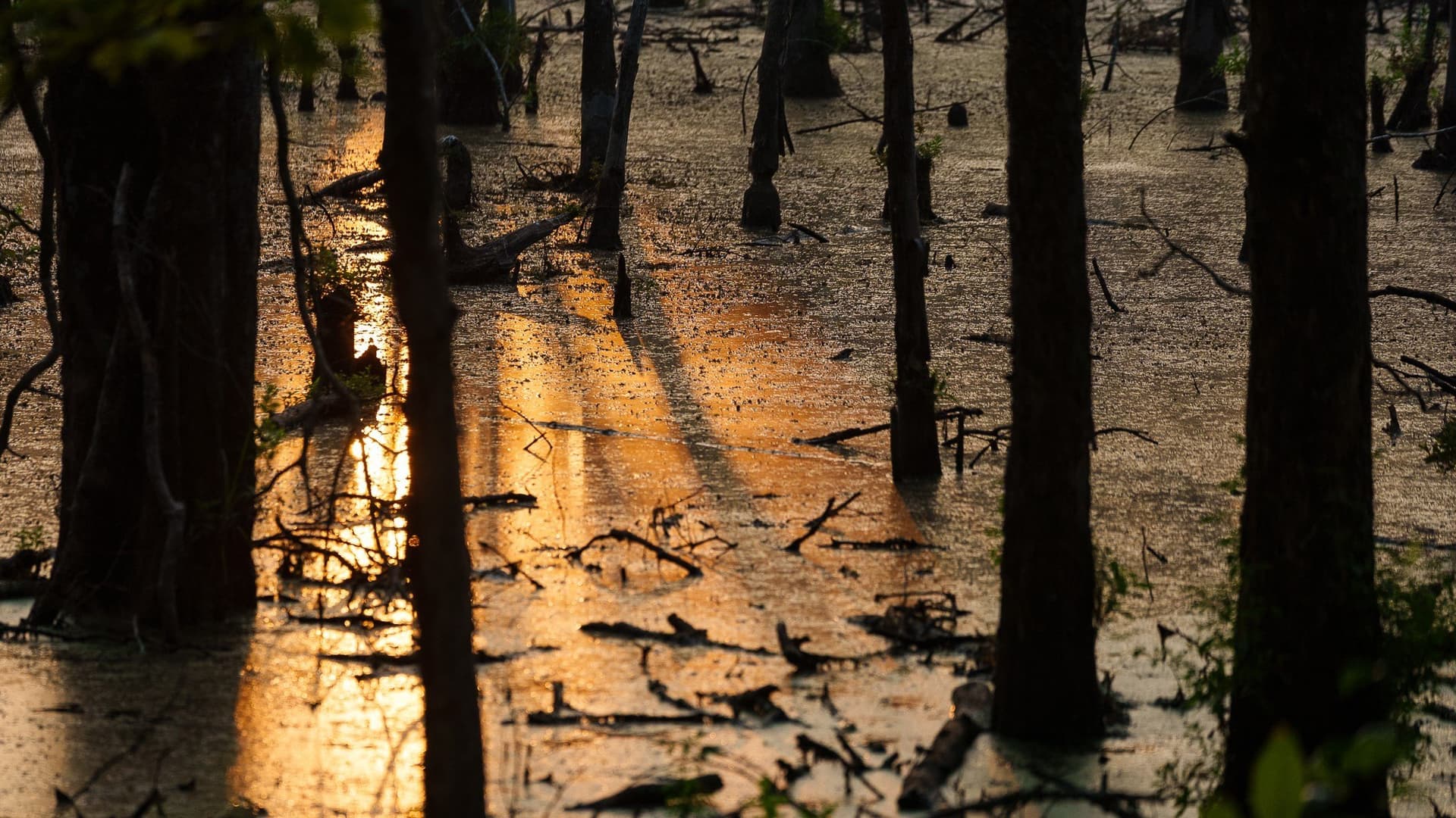 327.55 acres in Rusk County - photo 13